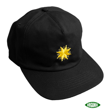SAULE CAP
