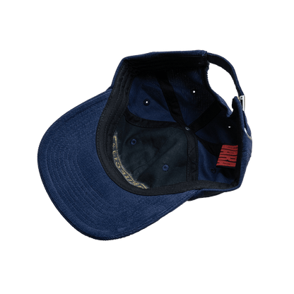 CORRUPTION CAP